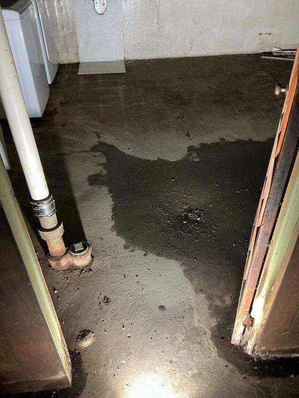 Responded to clogged kitchen sink at residential property. Upon arrival, performed diagnostic assessment of drainage system. Inspected basement utility area beneath kitchen to evaluate plumbing infrastructure and identify source of blockage. Documented existing conditions including water staining on concrete floor and visible moisture damage throughout basement area, indicating potential long-term drainage issues. Examined PVC drain lines and connections for obstructions, corrosion, and proper flow. Cleared blockage from kitchen sink drain line to restore proper drainage function. Advised customer of underlying moisture concerns observed in basement that may require future attention to prevent additional plumbing complications.
