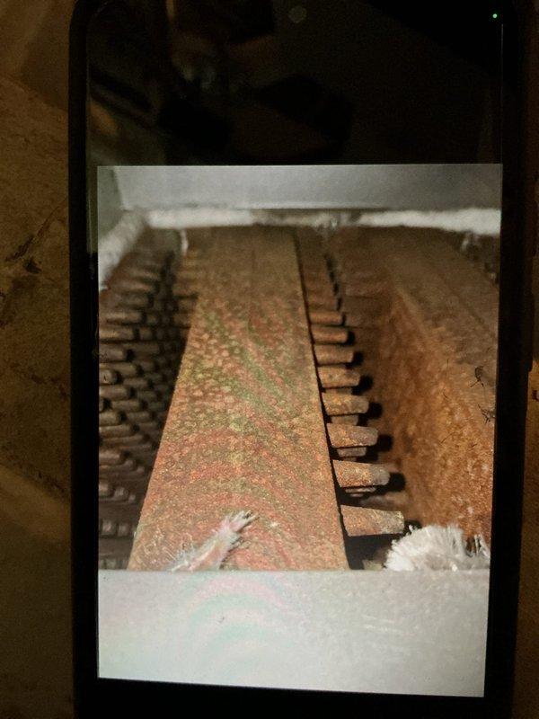 Completed comprehensive Gold-level boiler maintenance on a 10-year-old unit located in basement prior to seasonal startup. Performed full system drain, inspected all components, and verified thermostat operation showing 31°F ambient reading. Observed significant corrosion and rust on heat exchanger fins with green mold/mildew growth indicating moisture exposure, documented conditions with photos for customer records.