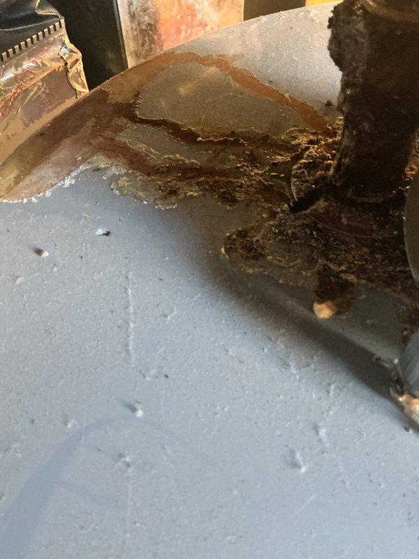 Responded to warranty call for leaking tanked water heater manufactured by Flame with active 10-year manufacturer and labor warranty coverage. Upon inspection, confirmed water heater was actively leaking from bottom of tank due to severe corrosion and rust deterioration of tank base and drain valve assembly. Documented extensive oxidation damage with photographic evidence showing compromised structural integrity of metal components and water damage on basement floor. Assessed unit as failed beyond repair due to tank breach, requiring full replacement under warranty terms.