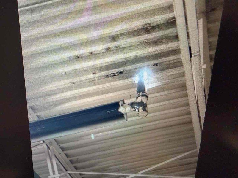 Responded to commercial furnace inspection request at two-story building requiring ladder access to roof-mounted unit. Upon inspection, discovered extensive moisture damage and deterioration to interior ceiling structure beneath furnace location, with visible staining and potential mold growth on corrugated metal panels. Roof inspection revealed severely compromised exhaust venting system with failed vent boot assembly, deteriorated flashing, and significant corrosion at pipe penetration point. Documented multiple holes in roof membrane surrounding vent termination, active water infiltration pathway, and degraded sealing materials contributing to interior damage observed below unit.