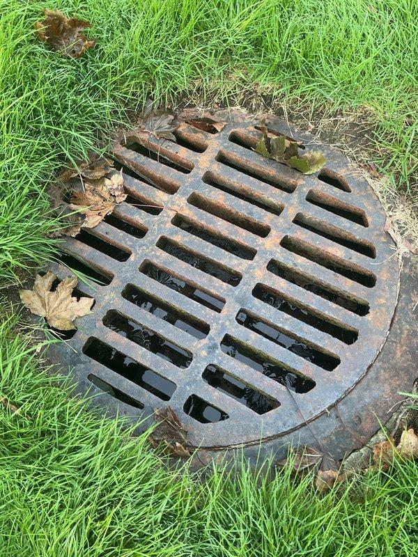 Responded to report of continuously wet area on lawn with suspected underground pipe leak. Upon investigation, inspected exterior drainage system and located storm drain grate showing normal operation with no evidence of subsurface water line failure in that area. Conducted interior inspection of basement plumbing infrastructure, examining sump pump system, discharge piping, and associated connections for potential leak sources. All visible plumbing components, PVC connections, and pump assembly showed proper installation and no active leaks. Documented conditions with photographs for record. Based on investigation findings, wet lawn area may be attributed to drainage patterns or other non-plumbing factors rather than underground pipe leak.