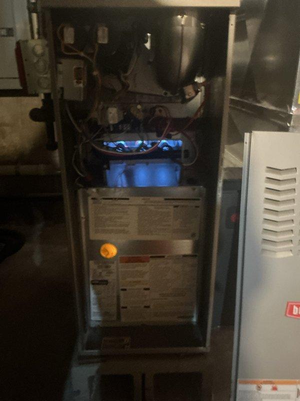 Completed comprehensive annual heating tune-up and maintenance service on two heating systems under Gold Membership plan. Performed full inspection and preventative maintenance on 4-year-old Bryant furnace located in basement, including burner assembly cleaning, flame sensor servicing, heat exchanger inspection, blower motor lubrication, air filter replacement, and combustion analysis to verify proper blue flame operation and efficiency. Conducted complete maintenance service on 2-year-old New Yorker boiler in garage, including inspection of heating elements, pressure testing, safety control verification, and system cycling tests. Both units tested and confirmed operating within manufacturer specifications with all safety controls functioning properly. Systems ready for heating season operation.