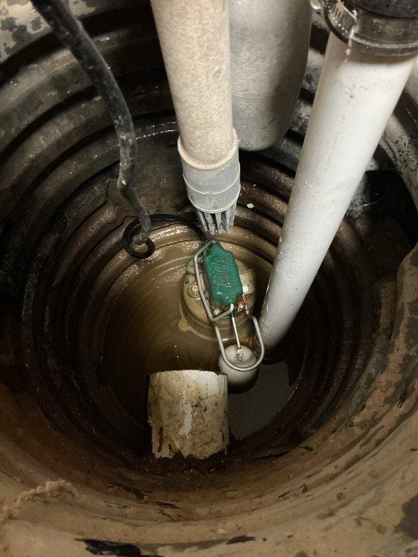 Performed inspection and provided estimate for sump pump replacement in basement. Existing system includes Zoeller M-53 1/3 HP main pump with dual check valves and Liberty water-powered backup pump, originally installed in 2019. Assessed current pump operation, discharge piping configuration, and backup system functionality to determine replacement requirements and specifications.