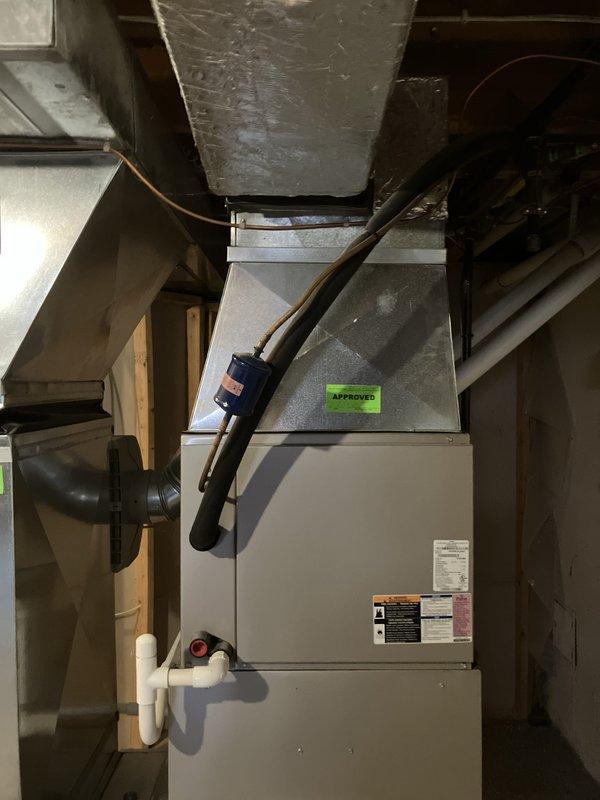 Completed complimentary tune-up service on a 15-year-old Bryant furnace located in basement as part of monthly membership plan. Performed standard maintenance procedures including inspection of burner assembly, heat exchanger, blower motor, and all safety controls. Assessed overall system condition and provided estimate for furnace and air conditioning replacement due to age of equipment approaching end of expected service life.