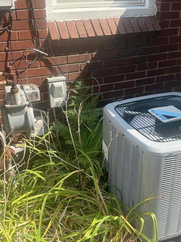 Performed scheduled maintenance on a 22 kW Briggs & Stratton standby generator, including connecting a laptop to the generator controller and running the firmware update utility to flash the latest controller firmware (GC1032R R5.01) with the existing configuration preserved. Verified the controller's firmware and parameter data, and confirmed the unit was operational at completion. Noted dense vegetation, including tall grass and ferns, crowding the adjacent condenser and electrical disconnect, as well as rust on the nearby gas meter piping, and recommend clearing the growth and having the piping inspected.