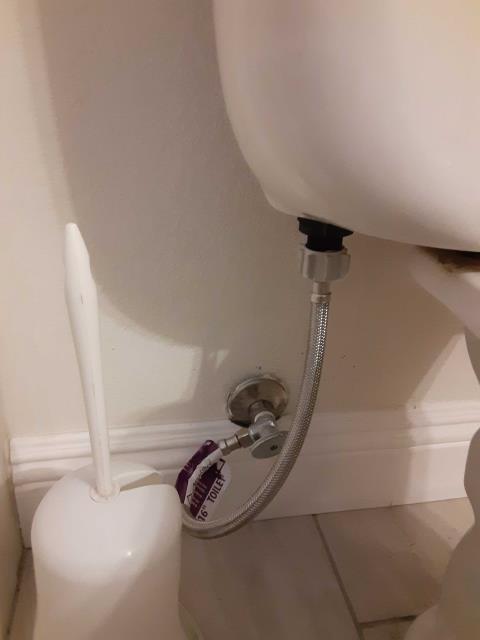 Las Vegas, NV - ⭐⭐⭐⭐⭐ 89129

The downstairs hallway toilet supply line broke at the nut connecting to the fill valve, causing a water leak and secondary damage. Replaced the damaged toilet supply line, turned the water back on, and thoroughly tested the repair. Everything is working properly with no leaks.

Professional toilet leak repair in Las Vegas, NV 89129 by Excellence Plumbing LLC. 🔧🚽💧

#89129Plumber #LasVegasPlumber #ToiletRepair #ToiletLeak #SupplyLineReplacement #EmergencyPlumber #PlumbingRepair #ExcellencePlumbingLLC