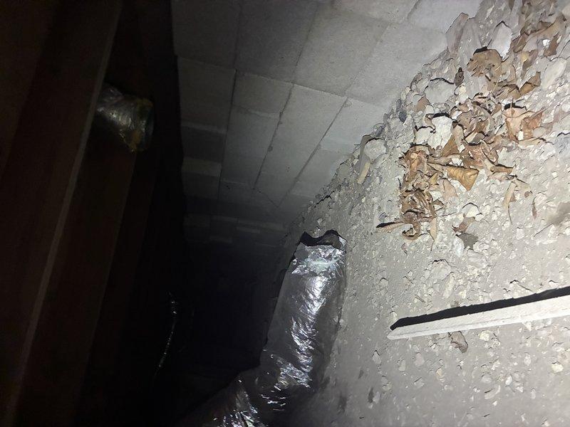 # SASC Protection Visit - No Cooling Issue

Responded to service call for SASC unit not cooling, system approximately 5 months old. Conducted comprehensive Protection Visit inspection to diagnose cooling failure and assess overall system condition.

Upon arrival, performed visual inspection of accessible ductwork and HVAC components. Documented flexible duct penetration through structural surface with spray foam insulation applied at entry point. Observed standard installation practices with corrugated flexible ducting passing through concrete or drywall surface in what appears to be attic or crawl space area. Insulation material properly sealed around duct penetration to prevent air leakage and maintain energy efficiency.

Inspected basement or crawl space area where additional ductwork components are located. Noted silver reflective flexible duct running vertically along wall corner with foil-faced insulation wrap. Documented significant wall deterioration with extensive peeling pain