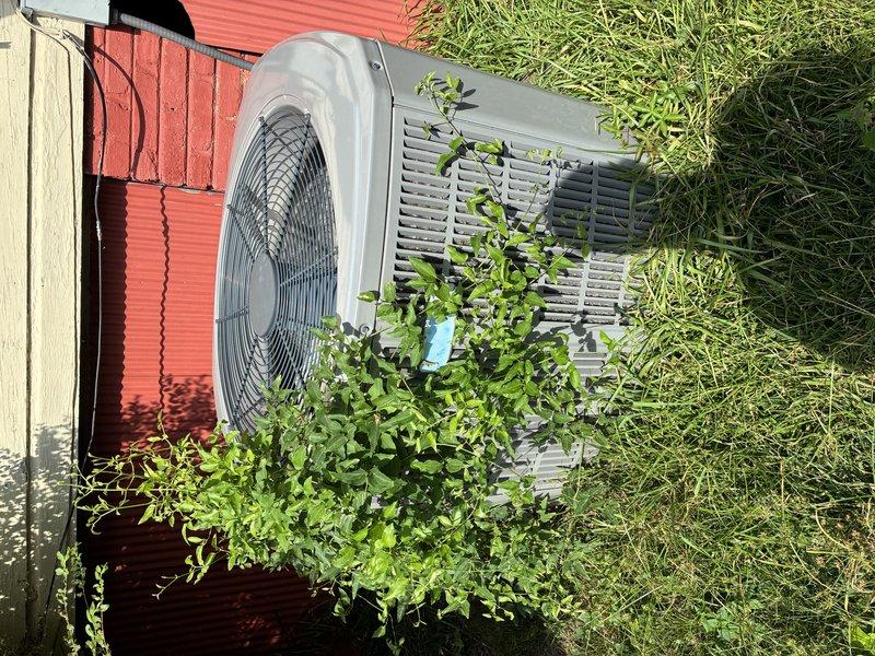 Completed comprehensive Clean & Check service on both heating and cooling systems per customer request. Technician wore mask throughout service as requested. Performed thorough inspection and maintenance of outdoor condenser unit, which was found surrounded by overgrown vegetation and vines that had begun climbing the equipment. Cleared vegetation from around unit base and sides to ensure proper airflow and prevent potential damage to components. Cleaned condenser coils and verified fan operation on outdoor unit positioned against building exterior. Inspected all accessible system components, checked refrigerant levels, tested electrical connections, and verified proper system operation for both heating and cooling modes. Unit returned to normal operating condition with improved airflow following vegetation removal and standard maintenance procedures.