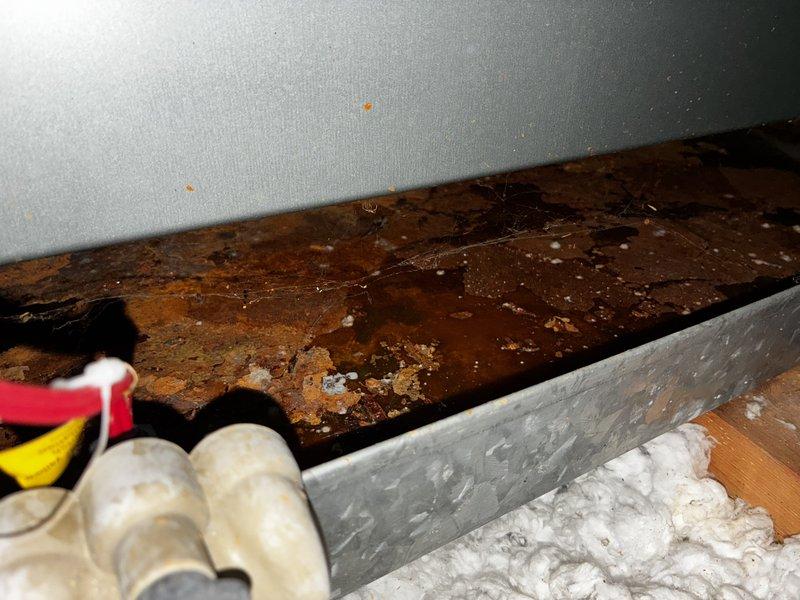 Completed courtesy clean and check for referral customer. Performed comprehensive inspection of HVAC system located in attic space. Examined ductwork connections, electrical components, and insulation integrity. Documented significant wood rot and deterioration on structural beam near mechanical systems. Noted exposed fiberglass insulation and metallic ductwork with reflective insulation wrapping. Verified electrical connections and red wire routing to mounted control device. Assessed overall system accessibility and condition of attic infrastructure including joists and walking surfaces.