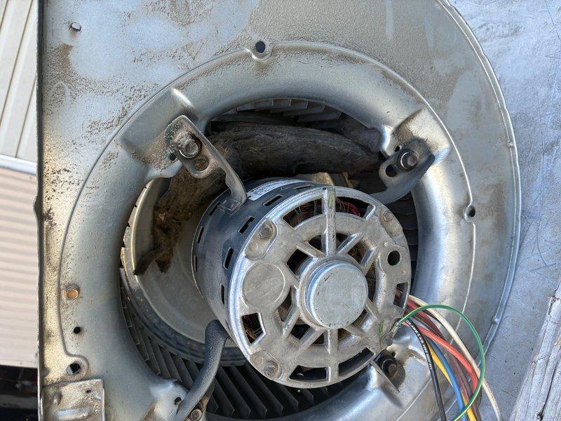 Performed comprehensive clean and check service on heating system. Thoroughly inspected heat exchanger for cracks, deterioration, and proper operation. Examined evaporator coil and confirmed 90% efficiency coil was clean and free of debris buildup. Inspected blower motor assembly and housing, verifying proper mounting, electrical connections, and operational integrity. Checked blower wheel for dust accumulation and airflow restrictions. Utilized UV light inspection to assess coil cleanliness and detect potential refrigerant leaks. Verified all electrical connections were secure with proper wire routing. Confirmed system components showed normal wear patterns consistent with regular operation. All inspected components found to be in functional condition with no immediate service needs identified.