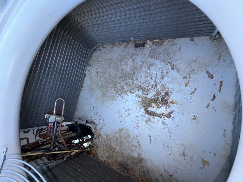 # HVAC Clean & Check Service

Performed comprehensive clean and check service on residential HVAC system. Conducted thorough inspection of outdoor condenser unit, which exhibited significant debris accumulation between fins and general weathering from environmental exposure. Noted substantial dirt and organic material buildup along edges and within fin spaces of heat exchanger.

Inspected interior components and found evidence of contamination and debris accumulation requiring attention. System showed signs of extended outdoor exposure with dust, leaves, and organic matter present throughout equipment areas. Documented current condition of all accessible components through photographic records.

Completed standard clean and check procedures including visual inspection of all major system components. System is not covered under existing warranty or service agreement. No UV light system present on this installation. All findings and equipment conditions documented for service records.