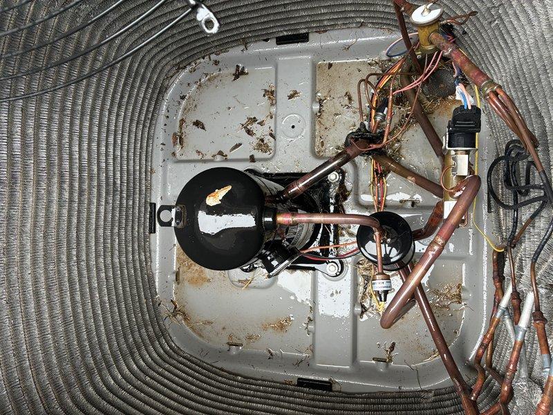 Completed second service agreement visit on heat pump system model 4H4A under 12-month warranty with UV light. Performed comprehensive inspection of outdoor compressor unit, verifying proper operation of compressor, capacitor, and all electrical connections. Documented system condition with photographs showing copper refrigerant lines, electrical components, and overall unit status. All components operating within normal parameters and warranty coverage confirmed active.