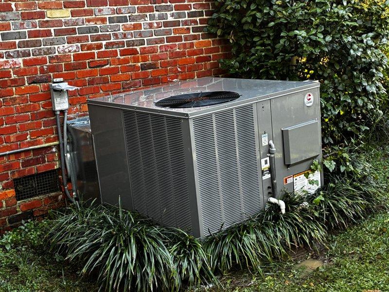 Performed a scheduled maintenance inspection on the packaged HVAC unit, including a visual check of the cabinet, electrical disconnect, conduit, and condensate drain line, all found intact with no signs of rust, frost, or damage. Opened the unit to inspect the compressor, refrigerant lines, capacitor, wiring, and condenser coil fins, noting algae and staining on the base pan and a loose zip tie near the wiring harness. Recommend maintaining clearance around the unit by trimming the surrounding shrubs and grasses to ensure proper airflow.