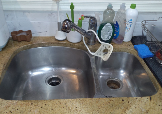Washington, DC - Snake machine service on kitchen sink 