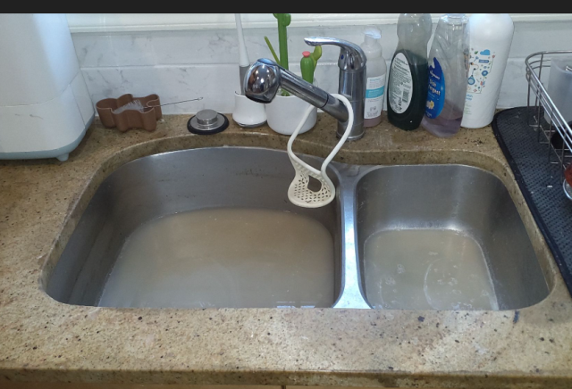 Washington, DC - Snake machine service on kitchen sink 