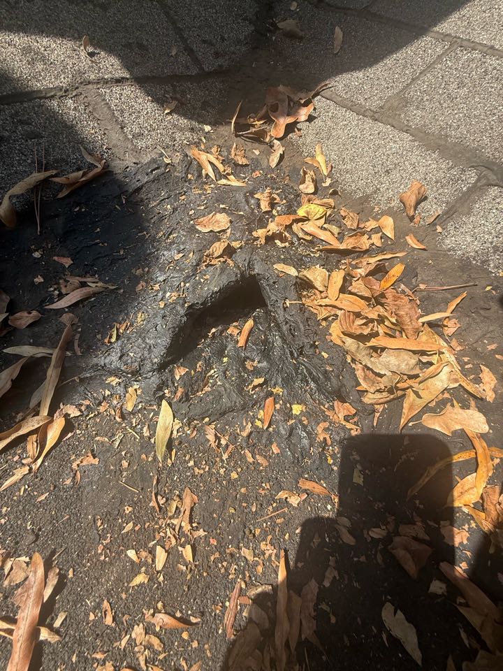 Pike Road, AL - We found the problem! Water funneling right back under the edge instead of away from the roof due to damaged transition metal and bandaid repair job! We’re going to get this family taken care of and they’ll be back in the dry again! Give us a call and we’ll get you taken care of too! Make the wise choice! 🦉 