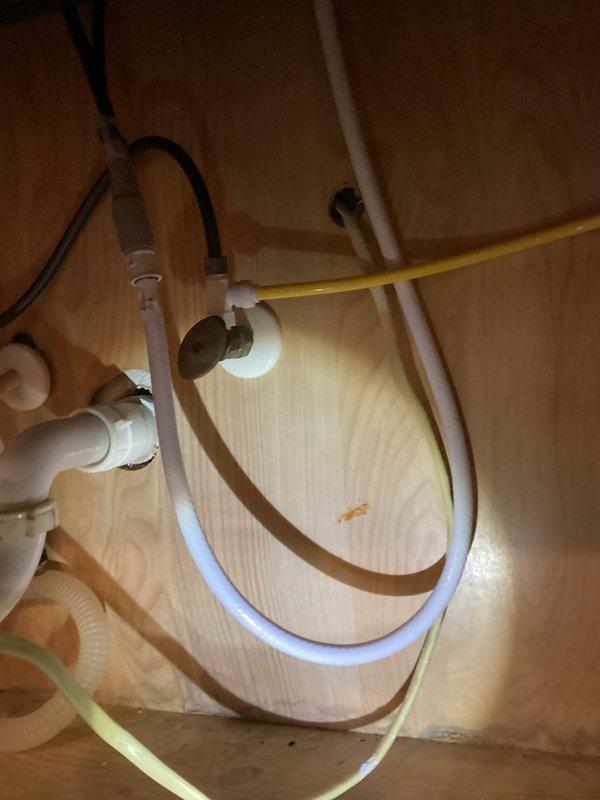 Successfully installed new GE under-sink water filtration system in kitchen after removing previous broken unit. Completed all necessary plumbing connections with proper fittings and ensured leak-free operation of the system and faucet.