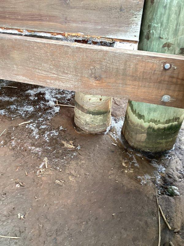 Responded to frozen pipe emergency with no water service. Inspected utility area plumbing system including valves and pipe connections. Also examined exterior deck structural elements where pipe freezing likely occurred. Successfully restored water service by thawing affected pipes and ensuring proper system operation.