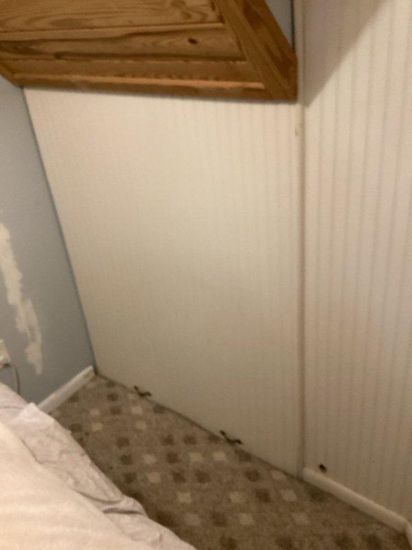 Conducted comprehensive assessment of existing water heater system, documenting current installation configuration including PVC piping, flexible connection hoses with brass fittings, and electrical control unit. Provided detailed estimate for replacement unit, noting specific requirements for proper installation in the utility area with consideration for existing wall and flooring conditions.