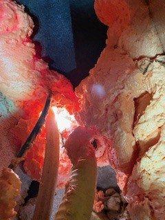 Conducted site assessment for package unit reinstallation. Observed significant issues with existing installation including improper sealing between unit housing and wall (excessive expanding foam application with discoloration indicating possible moisture intrusion). Documentation of current conditions completed with detailed photography to support comprehensive reinstallation quote.