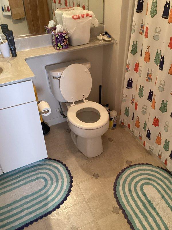 Provided estimate for replacement of existing standard height toilet with new regular height elongated bowl toilet. Assessed second floor shower enclosure and glass area for caulking needs to address potential water intrusion concerns at wall joints and fixture penetrations.