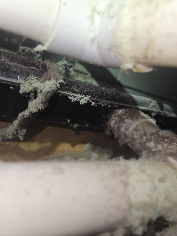 Responded to service call for condensate drainage issue on system that had not operated in over six months following home purchase. Upon inspection, discovered severely clogged condensate drain system with extensive accumulation of biological growth, dirt, debris, and mineral deposits in drain pan. Observed significant mold and algae buildup throughout drainage components, along with heavy dust and lint accumulation on evaporator coil and surrounding ductwork indicating prolonged neglect. Cleared condensate line blockage, cleaned drain pan, treated system with antimicrobial solution, and verified proper drainage flow. Documented equipment model Q150+BT in system records for new homeowner. Recommended regular preventive maintenance schedule to prevent future IAQ issues and ensure optimal system performance.