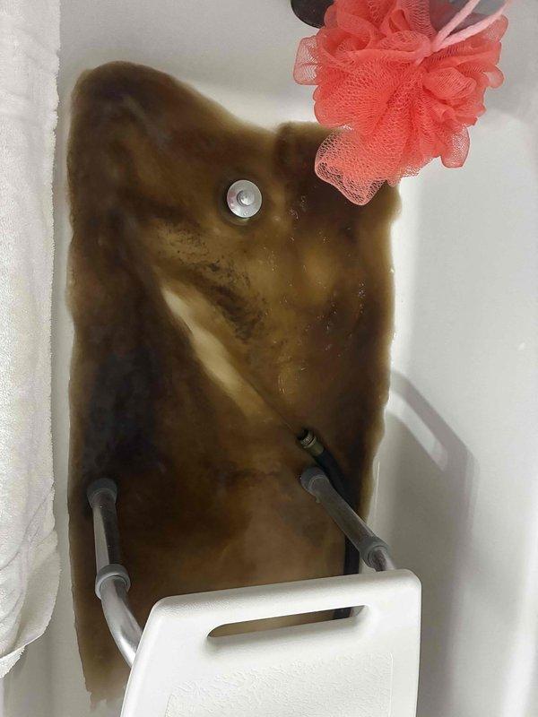Performed inspection of residential water heating system in response to tankless water heater service request. Upon arrival, determined property is equipped with a conventional 50-gallon electric tank water heater (Model PRO E50 T2 RH95, manufactured May 2023) rather than a tankless unit. Documented existing equipment specifications and current condition. Observed significant mineral deposits and discoloration in bathroom fixtures, indicating potential hard water issues that may affect water heater longevity and performance.