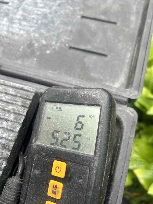 Responded to no cooling complaint on 2010 Nordyne system model C5QA-X30U-B. Diagnosed failed indoor thermostatic expansion valve causing inadequate refrigerant flow to evaporator coil. Replaced defective TXV and installed new filter drier to ensure system cleanliness and proper operation. Evacuated system to proper micron level, recharged with refrigerant to manufacturer specifications, and verified all operating pressures and temperatures within normal range. System restored to full cooling capacity and left operational.