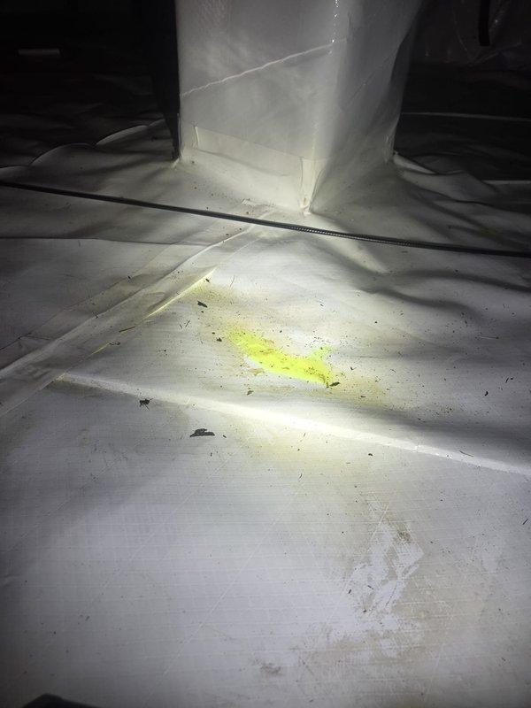 Responded to report of yellow-green fluid leak in crawl space. Upon inspection, utilized UV lighting to identify and locate condensate drainage issue. Fluorescent tracer dye revealed active condensate leak from HVAC system draining onto vapor barrier in crawl space. Documented leak location and extent of moisture intrusion with photographic evidence showing multiple concentration points of fluorescent material on floor covering beneath air handler and condensate drain line.
