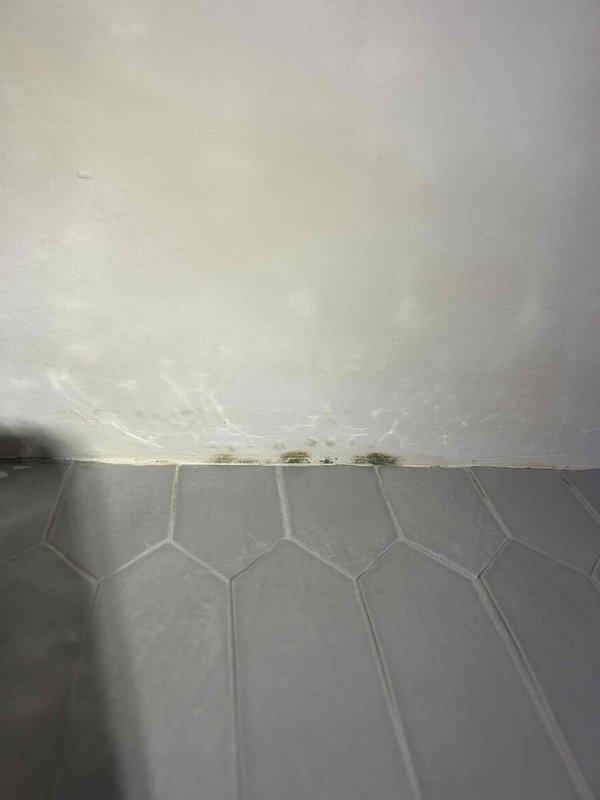 Responded to water leak complaint originating from drain pan. Upon arrival, observed visible water damage including dark mold and mildew growth along bathroom floor-to-wall junction with hexagonal tile flooring, and significant yellowish-brown water staining on bathroom ceiling above shower area. Documented moisture damage with photographic evidence showing active water infiltration from above and recent moisture presence on shower wall surfaces. Consulted with occupant regarding findings and recommended further investigation of drain pan overflow issue and ceiling water source to prevent continued microbial growth and structural damage.