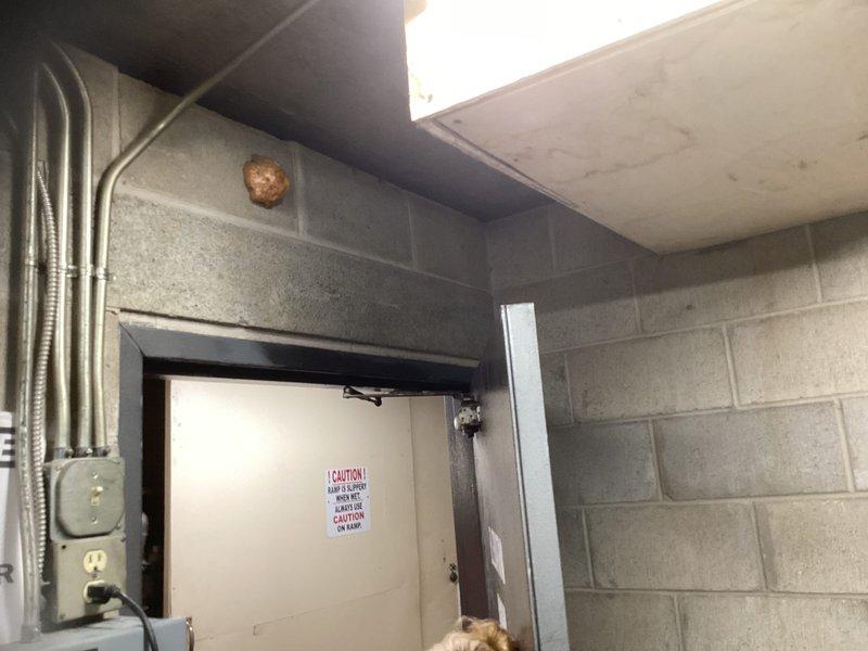 Completed estimate for ductless mini-split system installation in machine room with concrete block walls. Assessed outdoor condenser placement location on gravel pad adjacent to existing HVAC equipment and evaluated interior mounting position for air handler unit with consideration for electrical conduit routing and connection requirements.