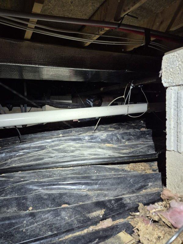 Performed crawl space inspection to investigate mold/mildew odor concerns affecting indoor air quality. Conducted thorough examination of HVAC ductwork system, including metallic supply ducts and flexible return ducts, checking for condensation leaks, moisture intrusion points, and physical deterioration. Inspected duct insulation for water damage, compression, and proper installation throughout accessible crawl space areas.

Evaluated all visible duct connections and seams for potential air leakage and moisture accumulation. Assessed condition of duct surfaces, noting dust and debris accumulation on corrugated metal components. Examined relationship between plumbing systems and HVAC infrastructure, checking for condensate drain issues or water intrusion from previous plumbing repairs. Photographed ductwork conditions, insulation status, and structural components for documentation purposes.

Observed black speckling reported at interior registers may be related to crawl space environme
