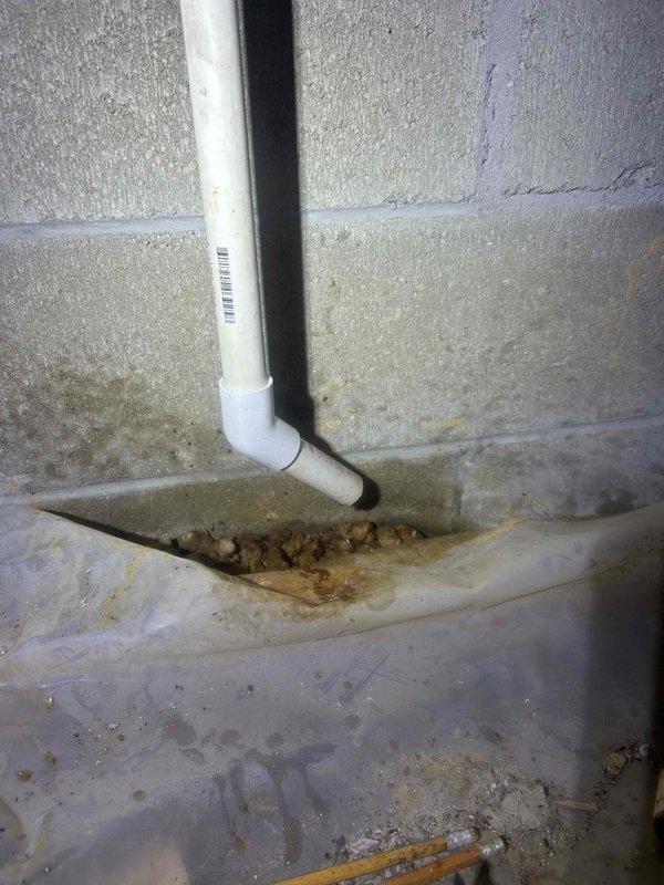 Responded to a no cooling complaint on an HVAC system less than 10 years old. Upon arrival, inspected the condensate drainage system and found the drain line routing through the foundation area. The PVC discharge pipe was properly installed with appropriate fittings and maintained correct pitch for gravity drainage, with the line penetrating through the concrete floor to discharge exterior to the building envelope. Verified the drainage system was functioning as designed with no blockages or standing water present that would trigger a safety float switch and cause system shutdown. All condensate management components were operating within normal parameters.