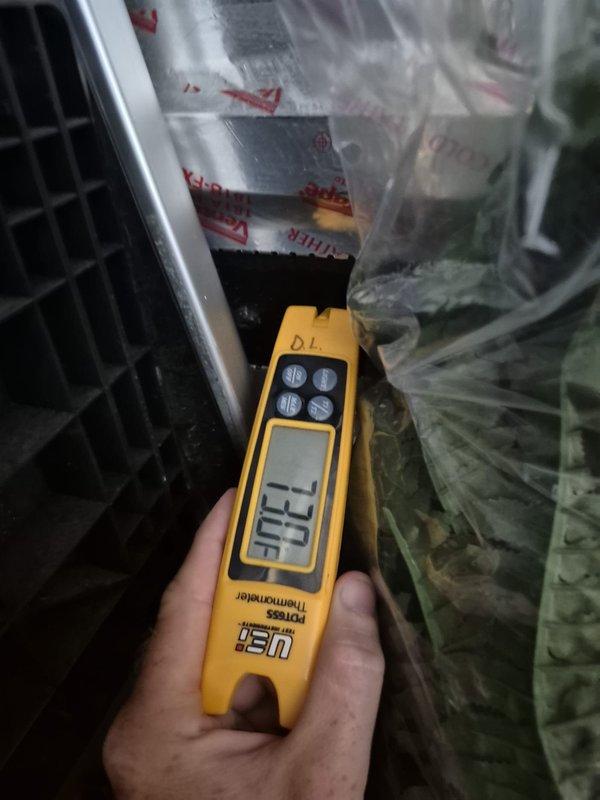 Performed heating maintenance on HVAC system. Conducted diagnostic testing using digital thermometer to measure temperature differentials across system components, recording readings to verify proper operation. Utilized clamp meter to test electrical components including capacitor, checking voltage and amperage readings to ensure system was operating within manufacturer specifications. Inspected all visible wiring connections and components for proper function and safety compliance. System found to be operating normally with all measurements within acceptable parameters.