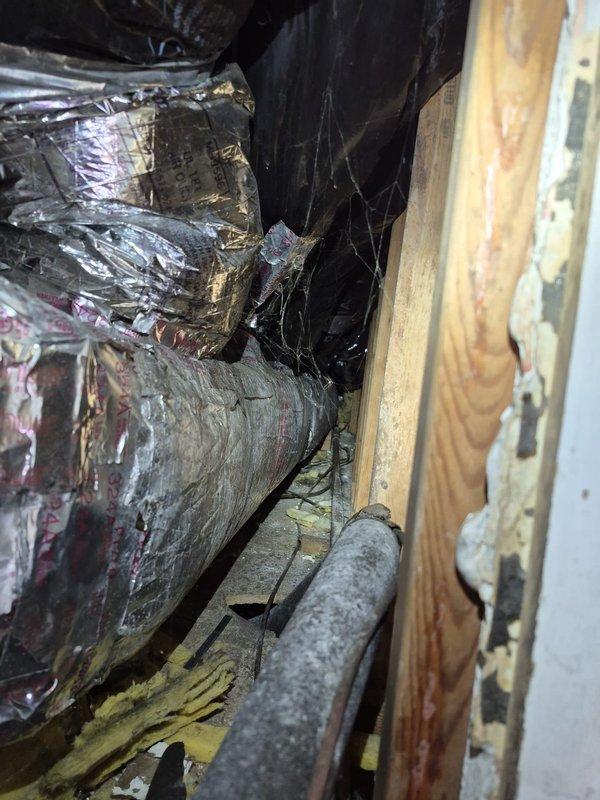 Performed indoor air quality evaluation for air handler located in ceiling enclosure with visible microbial growth on unit and powder room vent prior to property settlement. Inspected accessible ductwork and found evidence of moisture intrusion, inadequate ventilation, and accumulated debris with visible spider webs and dust buildup throughout the system. Documented conditions with photographs showing compromised insulation, aged ductwork, and environmental contamination in ceiling cavity. Recommended professional duct cleaning, evaluation of ventilation capacity with potential addition of supplemental vents, and moisture source identification to prevent future microbial growth and improve overall indoor air quality.