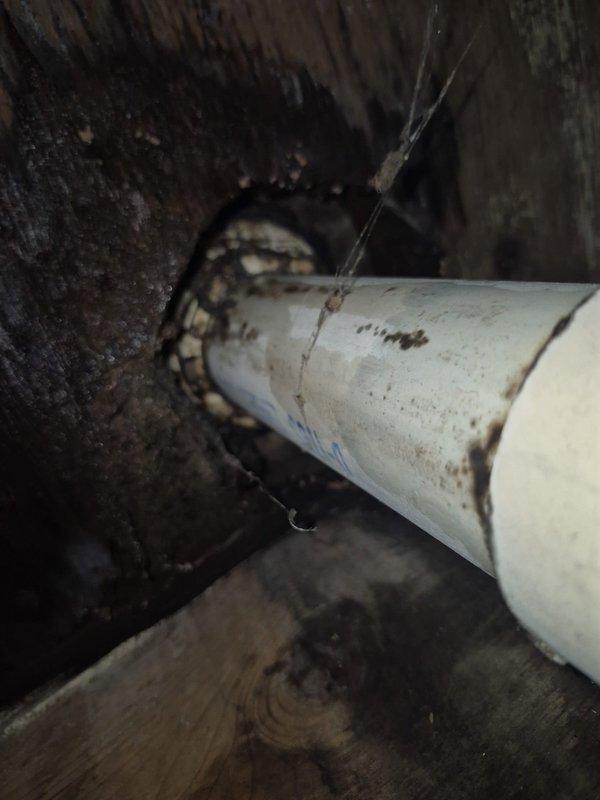 Responded to report of water leak under structure as identified by pest control company. Performed thorough inspection of crawl space plumbing system, examining all visible PVC drain lines, P-trap configurations, and pipe penetrations through floor joists. Documented existing conditions including pipe routing, connections, and structural interfaces with photographic evidence for further evaluation and approval prior to any repair work.