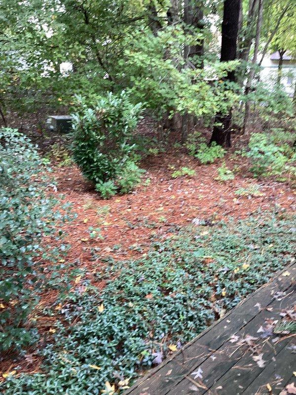 Responded to service call regarding unusually high monthly water bills. Upon site inspection, located a compromised section of the main water supply line between the meter and residence, identified by visible ground saturation and soggy patch in the wooded area of the property. Assessed the damaged pipe section and determined replacement would be necessary. Documented the leak location with photographic evidence, noting proximity to electrical transformer box (5-6 feet) and underground cable lines in the vicinity. Provided estimate for complete replacement of the affected supply line section, taking into account the need for careful excavation due to nearby utility infrastructure.