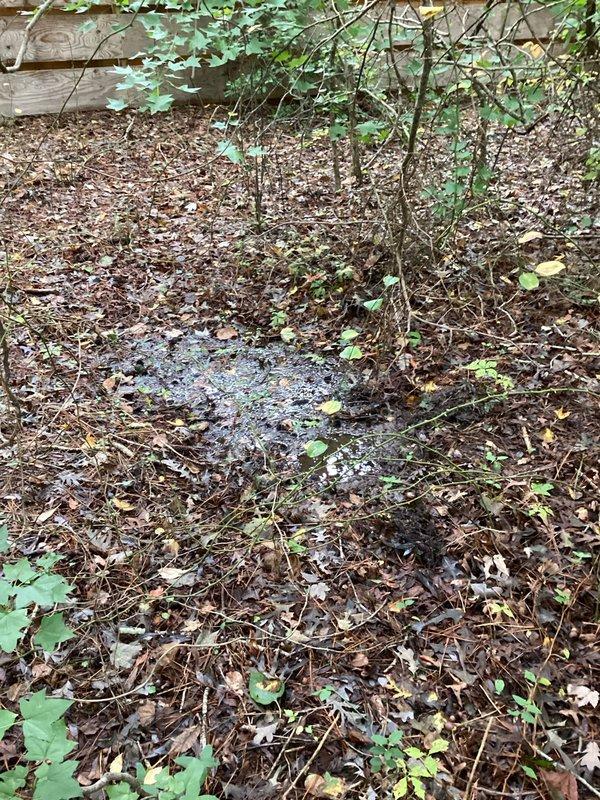 Responded to service call regarding unusually high monthly water bills. Upon site inspection, located a compromised section of the main water supply line between the meter and residence, identified by visible ground saturation and soggy patch in the wooded area of the property. Assessed the damaged pipe section and determined replacement would be necessary. Documented the leak location with photographic evidence, noting proximity to electrical transformer box (5-6 feet) and underground cable lines in the vicinity. Provided estimate for complete replacement of the affected supply line section, taking into account the need for careful excavation due to nearby utility infrastructure.