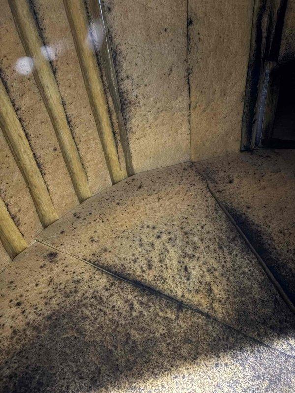 Performed an indoor air quality inspection in response to a musty odor near the water heater, evaluating the condensate drain line for blockage and verifying heating system operation. Combustion analysis in heating mode returned O₂ 12.7%, CO 78 ppm, CO₂ 5.4%, 96.6% efficiency, and 89°F stack temperature, confirming the system is operating properly. Inspection of the duct/plenum interior revealed heavy microbial growth on the fibrous insulation board, indicating a likely source of the odor and a need for remediation.