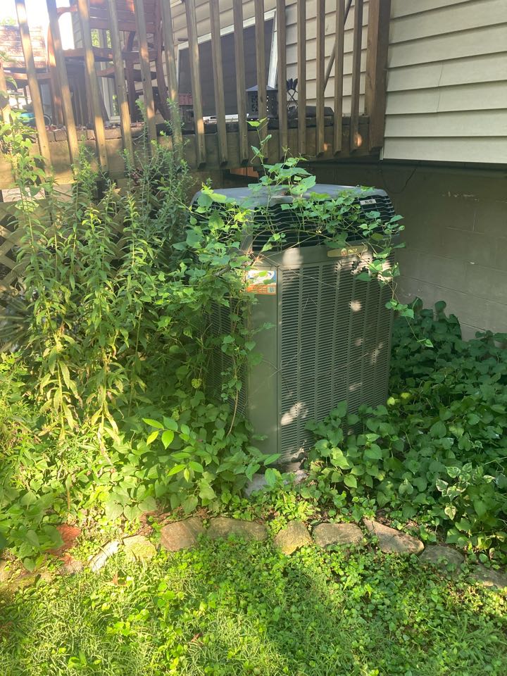 Carbondale, IL - Performed cooling maintenance on Trane ac unit 