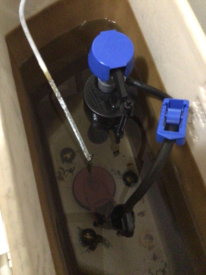 Repair toilet