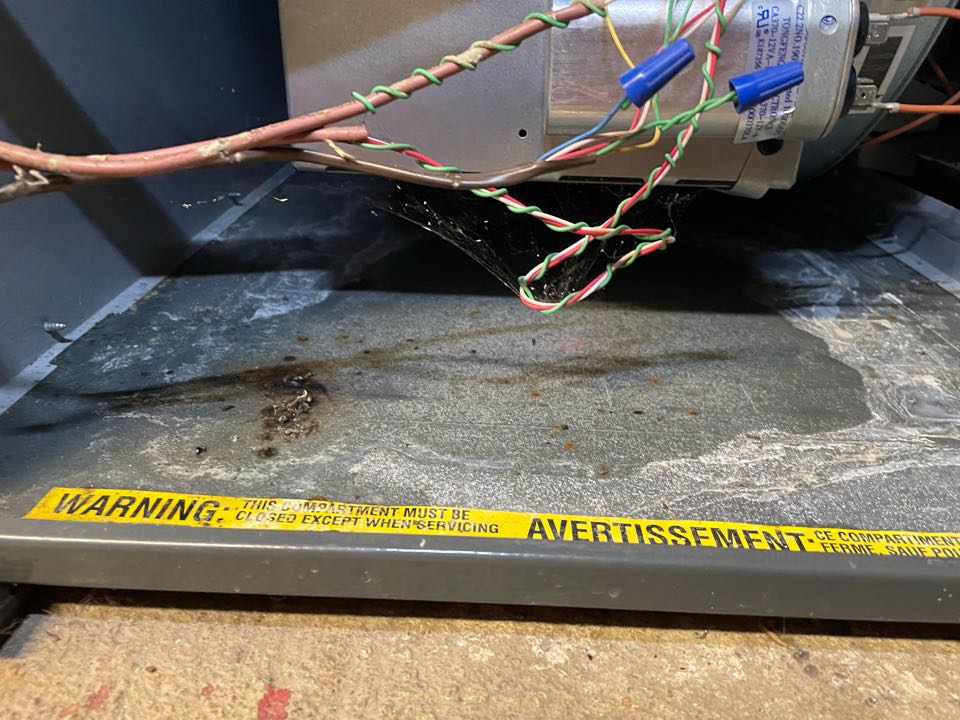 Was able to get a Routine Maintenance & Tune Up done on an 8yr old Goodman Natural Gas Furnace in Wilmington Delaware. This was our first time touching the furnace and the previous company had left a clamp loose on the Inducer Motor which caused all the condensate to drip all over the unit, which was a pretty significant amount. Luckily no visible damage was done and I was able to get it cleaned up and fixed. Everything else looked perfect and we expect you to have a comfy winter season!