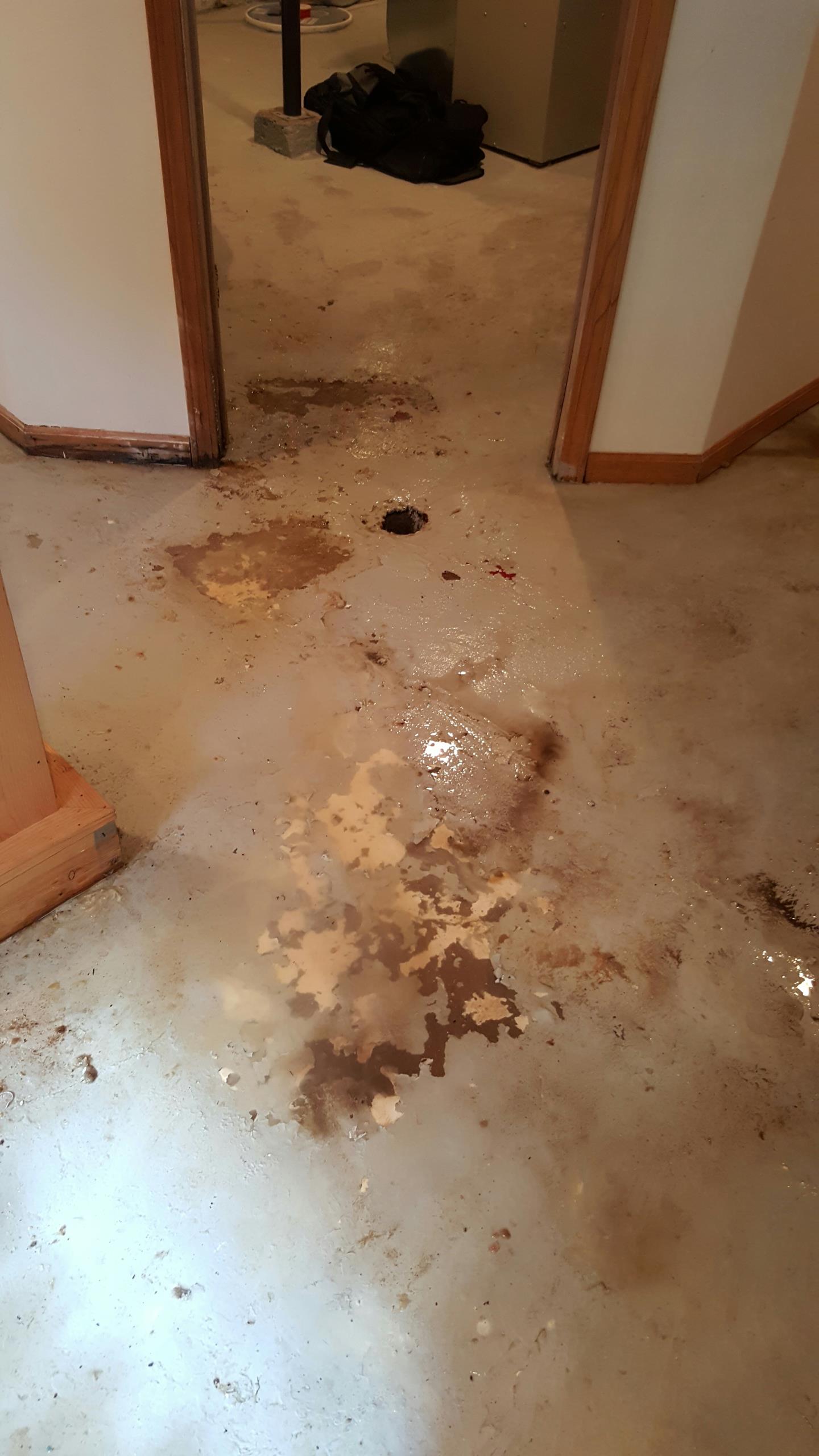 Emergency main line sewer rodding... All Clear