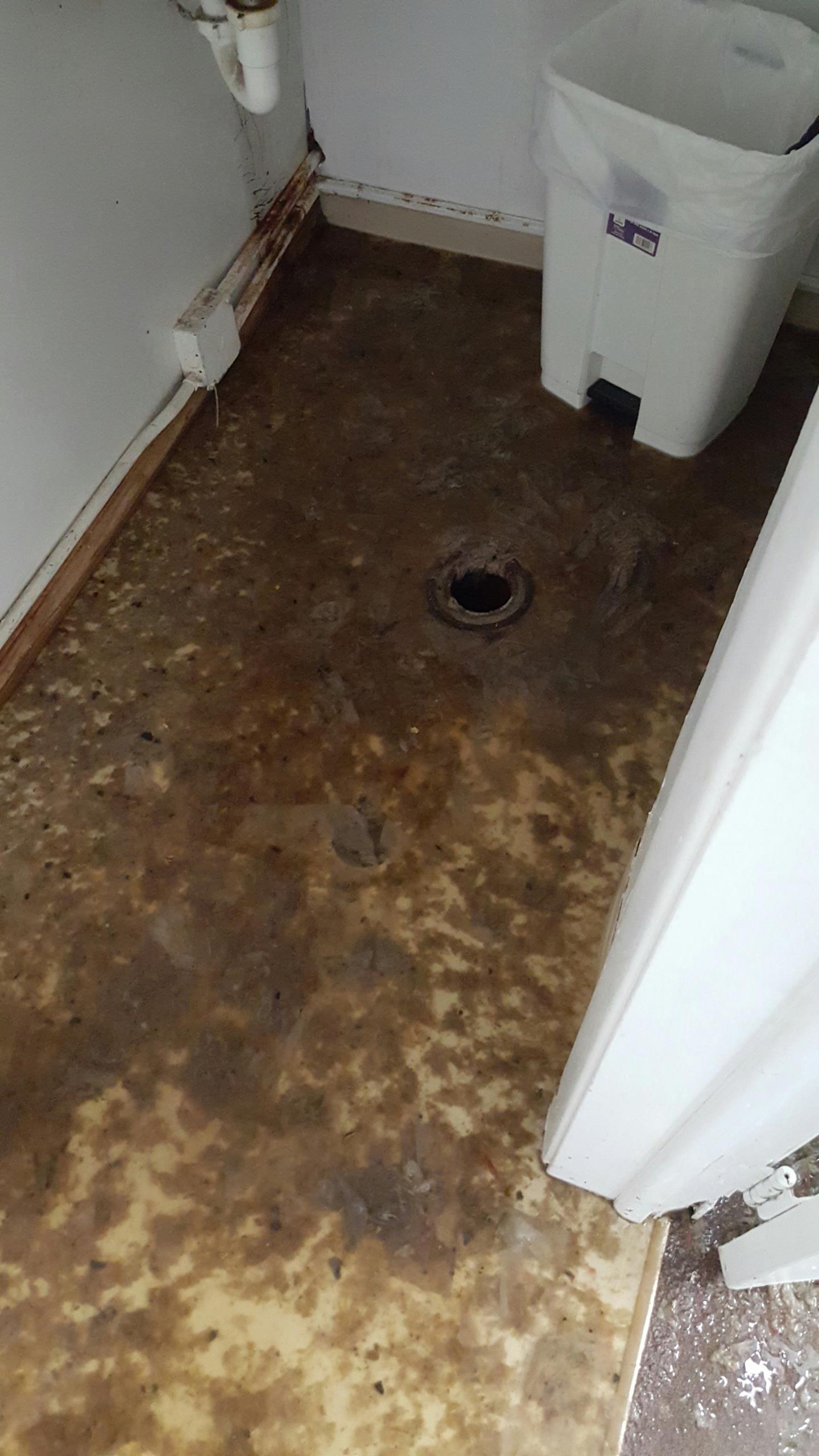 Commercial rodding  for a backed up business