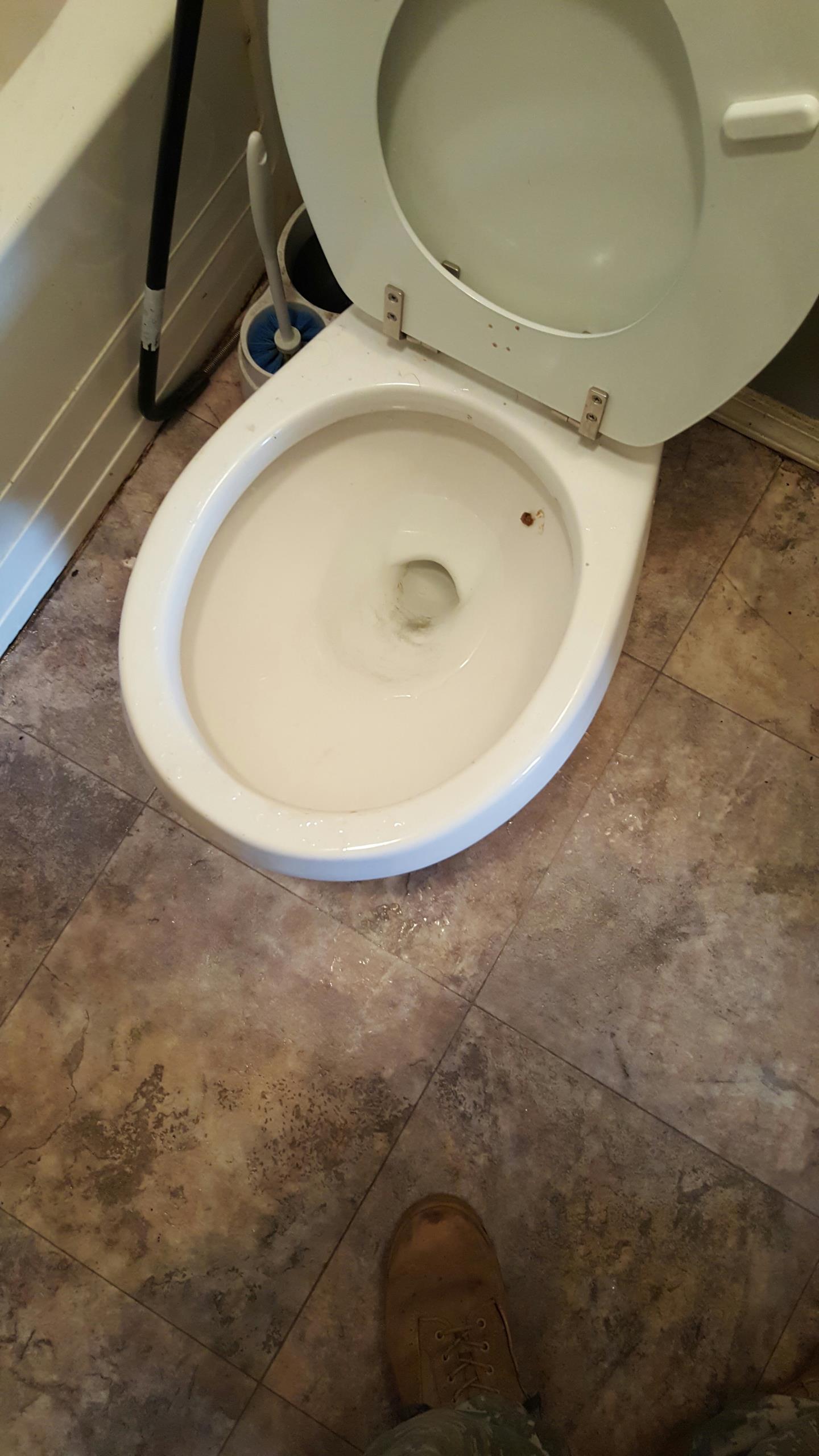 Cleared candle wax clog from toilet 