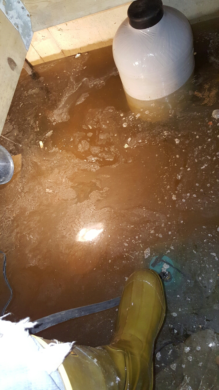 Investigating loss of water/slash sump pump repair