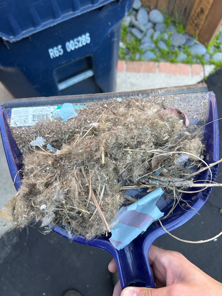 I performed cooling maintenance today on a Lennox system.
Upon arrival the system was fully operational.
I tested all electrical components and safety features.
All components including the compressor and motors tested in range.
There were no signs of damage.
The outdoor coil was dirty, so I cleaned it.
The return air filter was still clean.
I noticed the system does not have surge protection, the blower wheel had slight dirt build up and there was no form of air purification. I went over my concerns with Erick and will be sending digital copies of my report as well as estimates to Shawn’s email.
Upon departure, the system is fully operational with optimal temperature differentials in cooling mode.
It was a pleasure speaking with you. Thank you for being a Cool Air Solutions customer and Comfort Club member! I performed cooling maintenance today on a Lennox system.
Upon arrival the system was fully operational.
I tested all electrical components and safety features.
All components including the compressor and motors tested in range.
There were no signs of damage.
The outdoor coil was dirty, so I cleaned it.
The return air filter was still clean.
I noticed the system does not have surge protection, the blower wheel had slight dirt build up and there was no form of air purification. I went over my concerns with Erick and will be sending digital copies of my report as well as estimates to Shawn’s email.
Upon departure, the system is fully operational with optimal temperature differentials in cooling mode.
It was a pleasure speaking with you. Thank you for being a Cool Air Solutions customer and Comfort Club member!