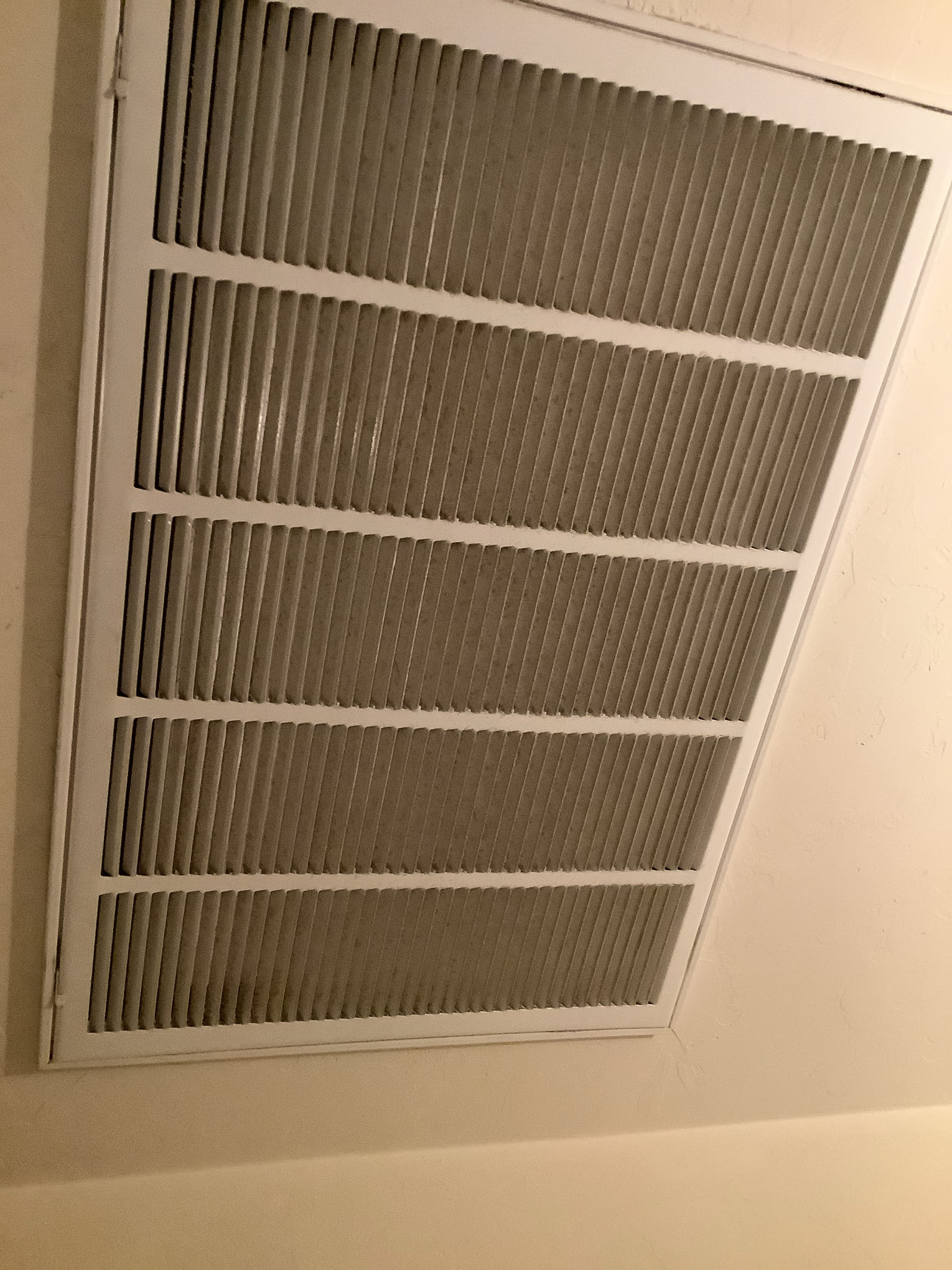 I am a home service technician, and I recently completed a job in Alaska. The job involved cleaning the outside and inside units of an air conditioning system. The outside unit was covered in dirt and debris, and the inside unit had a faulty compressor. I replaced the compressor and cleaned the system thoroughly. The customer was very satisfied with the results, and I was proud of my work.