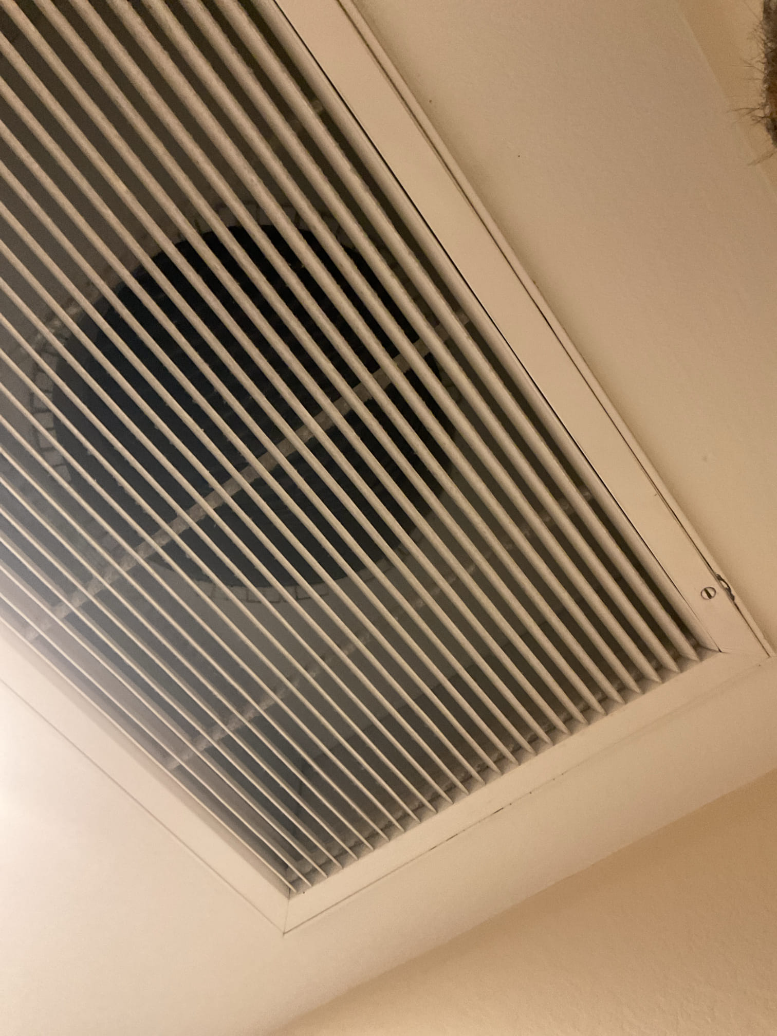 I am a highly skilled home service professional who specializes in Rheem products. I recently completed a maintenance job on a Rheem water heater. The job involved replacing the anode rod, which is a critical component of the water heater's heating element. The anode rod protects the tank from corrosion, which can lead to leaks and other damage.
To replace the anode rod, I first shut off the water supply to the water heater and drained the tank. Then, I removed the old anode rod and replaced it with a new one. I also checked the pressure relief valve and the temperature and pressure relief valve to ensure they were working properly.

After completing the maintenance job, I tested the water heater to make sure it was working properly. I also cleaned the tank and the surrounding area to ensure it was free from any debris.

Overall, the maintenance job was successful, and the customer was happy with the results. I am proud of the work I performed and look forward to completing more jobs i