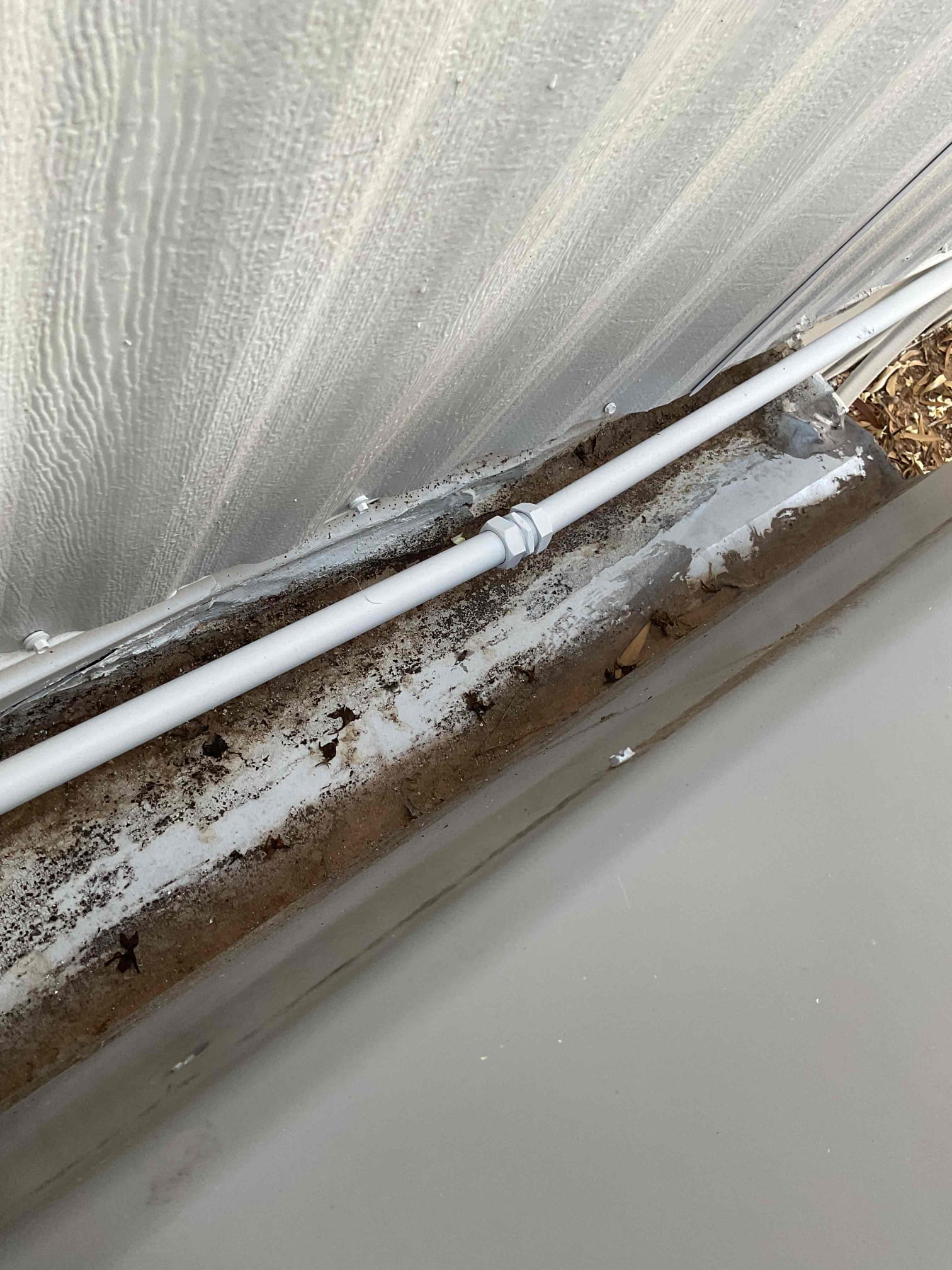 I was hired to clean a snowboard. I started by vacuuming the inside and outside of the board. I then cleaned out the coils.